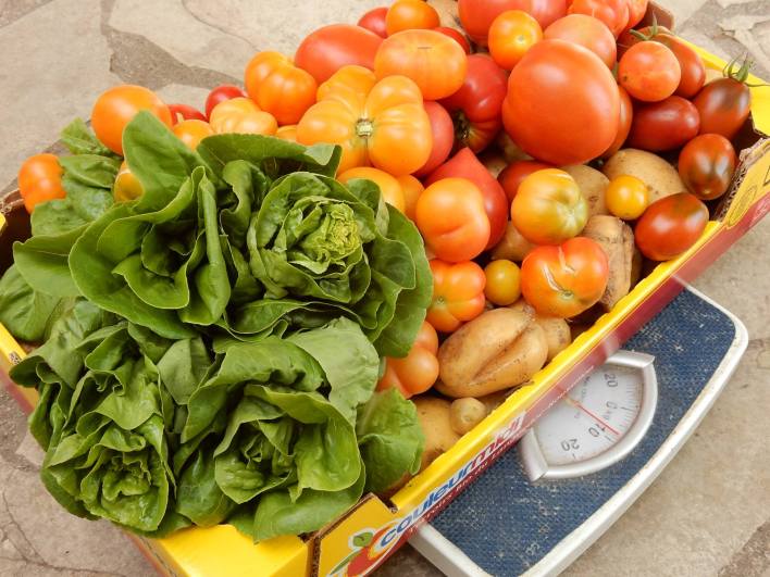 14047283_1340765899285855_2130138034987370199_o