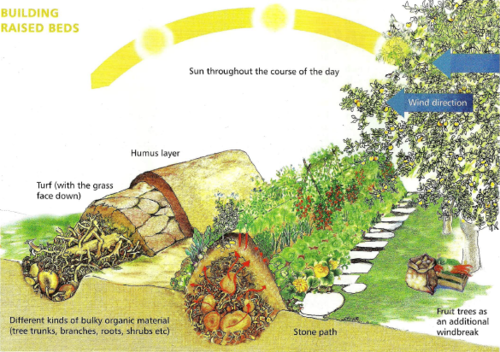 036 - hugelkultur cut away view.png